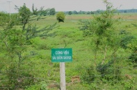 TP.HCM tìm nhà đầu tư cho Dự án Công viên Sài Gòn Safari