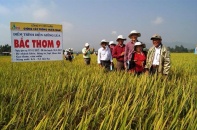 SSC với bài toán cân não về thị trường