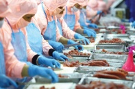 Xuất khẩu nông, thủy sản sang thị trường Trung Quốc: Yêu cầu cao về chất lượng và nguồn gốc