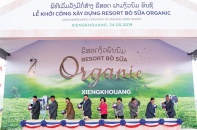 Vinamilk khởi công Tổ hợp “Resort” bò sữa organic tại Lào