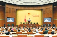 Tìm lời giải toàn diện để phát triển bền vững