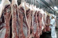 Doanh nghiệp e ngại cấp đông thịt lợn Doanh nghiệp e ngại cấp đông thịt lợn