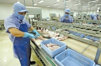 Tận dụng hiệu quả “đòn bẩy xuất khẩu” từ CPTPP