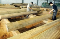 Căng thẳng thương mại Mỹ - Trung: Không để Việt Nam thành điểm trung chuyển gỗ né thuế