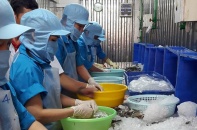 Cần thể chế thoáng để EVFTA vào cuộc