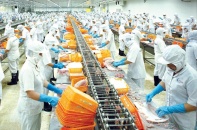 Thủy sản gỡ “thẻ vàng” để đón cơ hội từ EVFTA