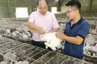 Ninh Bình: Quy mô, chất lượng tín dụng chính sách đều tăng