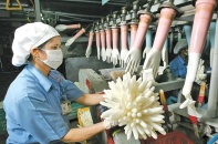 Nhà sản xuất găng tay lớn nhất thế giới đến Việt Nam, doanh nghiệp nội bắt đầu lo ngại