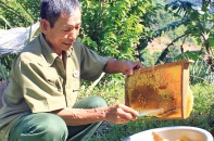 Cao Bằng với dấu ấn tín dụng chính sách