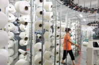 Lơ mơ, doanh nghiệp Việt liên tiếp dính kiện