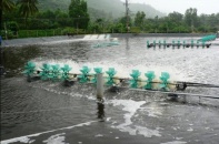 Giải bài toán năng lượng điện cho ngành tôm