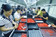 Nhiều doanh nghiệp phải khóc vì quy định vô lý