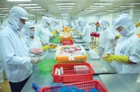 Tuân thủ quy định kém, nông sản xuất khẩu nhận điểm trừ