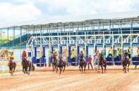 Đặt cược với kinh doanh trường đua ngựa