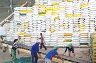 Nhiều ngành hàng tỷ USD chạy đua về đích