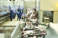 Xuất khẩu muốn đi đường dài, FTA mới chỉ là điều kiện cần