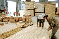 Mộc Thành Lộc vươn ra biển lớn