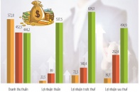 CII trong sự biến hóa của các khoản thu đặc biệt