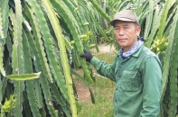 Khi Chỉ thị 40-CT/TW của Đảng đi vào cuộc sống