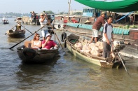 Thêm 1 tỷ USD cho Đồng bằng sông Cửu Long