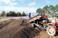 Đường đi để tận dụng lợi thế từ EVFTA