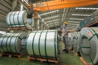 Lợi nhuận bùng nổ và góc khuất giá nguyên liệu tại Hoa Sen