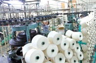 Nhìn lại một năm thực hiện CPTPP