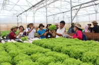 Doanh nghiệp Việt tham gia sân chơi ASEAN: Kỳ vọng nâng cao sức cạnh tranh