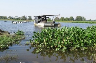 Dự án khơi thông sông Cổ Cò… tắc