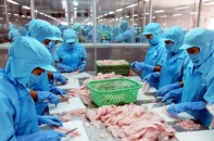 Ngành thủy sản chủ động ứng phó đại dịch