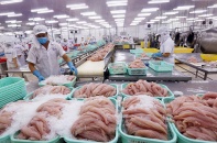 Cú hích từ EVFTA