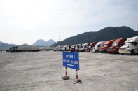 Hỗ trợ mở rộng thị trường nông sản Việt