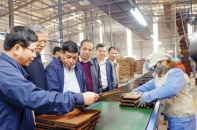Chủ động xây chiến lược phát triển kinh tế từ gốc Chủ động xây chiến lược phát triển kinh tế từ gốc