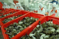 Hiệp định Thương mại tự do Việt Nam - EU (EVFTA): Dư địa lớn ẩn trong các đối sách