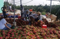 Nền kinh tế không chấp nhận thay đổi kiểu cơi nới