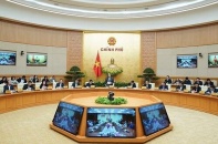 Xây dựng chính sách ‘cú đấm thép’ cho nông nghiệp