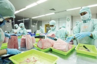 EU đóng cửa biên giới: Trái cây, thủy sản gặp khó