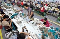 Doanh nghiệp xuất khẩu mong sớm được hỗ trợ