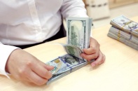 Giá USD tăng vọt, không xuất hiện đầu cơ