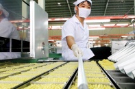 Lo đơn hàng xuất khẩu quý II/2020