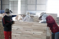 Ngành gỗ, dệt may cần hỗ trợ để vượt khó