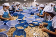 Covid-19 thổi bay 1 tỷ USD xuất khẩu của ngành điều