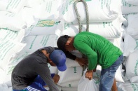 Bùng nhùng điều hành xuất khẩu gạo: Doanh nghiệp tuột cơ hội
