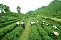 Tiếp tục kiến nghị giảm mục tiêu tăng trưởng nông nghiệp