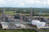 Con đường tái thiết nền kinh tế sau đại dịch - Bài 3: Cứu ai, ai cứu, cứu thế nào?