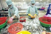 Nhức nhối những dấu âm tăng trưởng