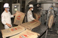 Dư cung quá lớn, đầu tư vào xi măng gặp khó