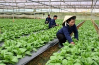 Đề xuất miễn thuế sử dụng đất tạo cú hích thu hút đầu tư vào nông nghiệp