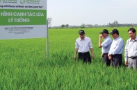 Phát triển nông thôn toàn diện, bền vững