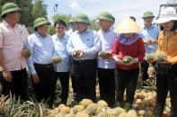 Xây dựng nông thôn mới: Quảng Trị đi lên từ cơ sở